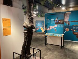 A Camarasaurus leg bone is displayed in the foreground of a gallery room, and graphic panels are in the background.
