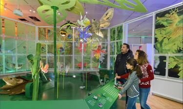 A man, woman, and girl in a green room look at a display featuring models including a mouse, bumblebee, flowers, moth, hummingbird and others