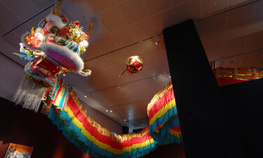 A vibrant Chinese parade dragon fixed to the ceiling is viewed from below