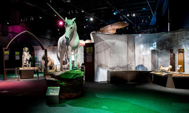 A "life sized" model of a traditional European white unicorn.