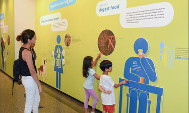 A woman and two children stand and look at a colorful wall graphic