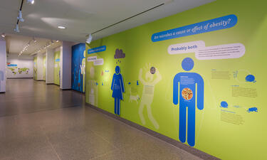 A long hallway is decorated with colorful graphics