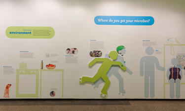 A cut-out graphic of a person rollerblading is positioned against colorful wall graphics and text about microbes