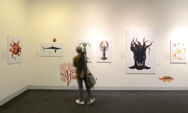 A man looks at a gallery of artwork that includes illustrations of a vampire squid and other marine animals