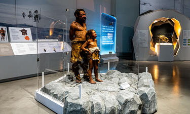 Life size models of Homo neanderthalensis and early modern Homo sapiens in a glass case in Planet Ice.