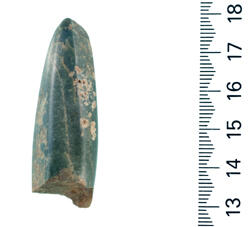3,300-year-old jade tool, found in Southwest Pacific