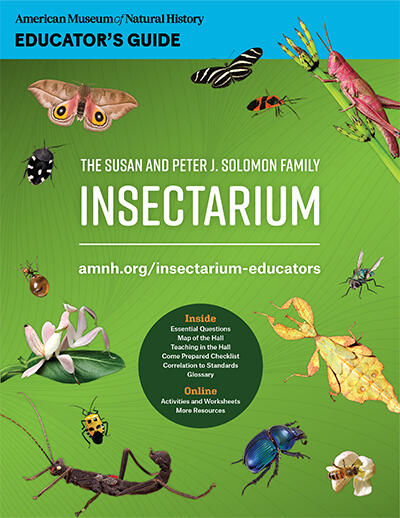 Cover of Insectarium Educator guide.