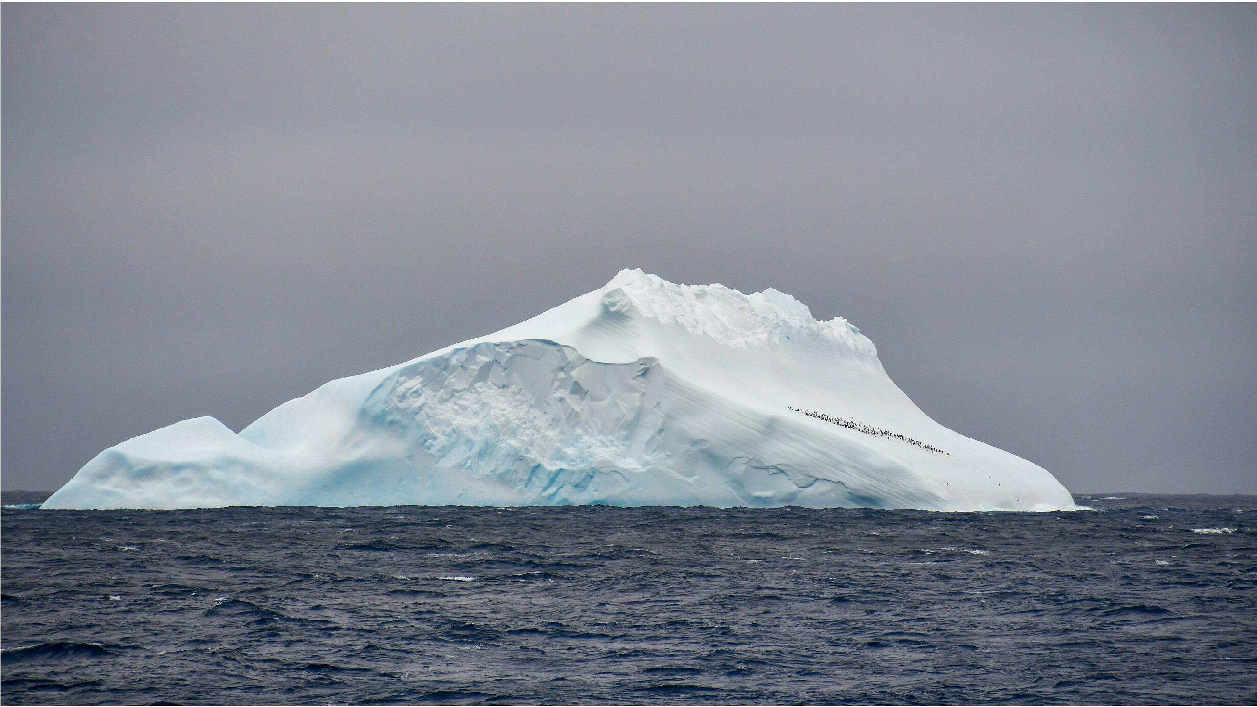 Iceberg-2460-1384