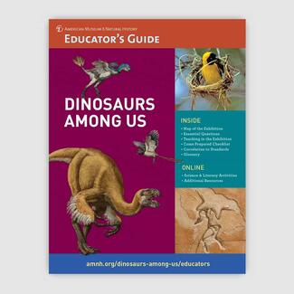 Cover of Educator's Guide titled "Dinosaurs Among Us, with pictures of feathered and winged dinosaurs, a modern bird, and fossil Archeopteryx.