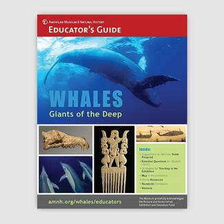 Cover of the Educator's Guide for  "Whales" 