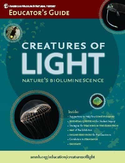 Cover of Educator's Guide titled "Creatures of Light" with photographs of crystal jellyfish and other bioluminescent animals