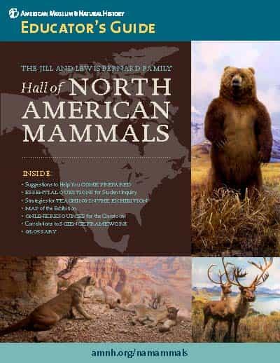 Cover of Educator's Guide titled "Hall of North American Mammals" featuring images of mammal dioramas, including bear, cougar, and caribou.