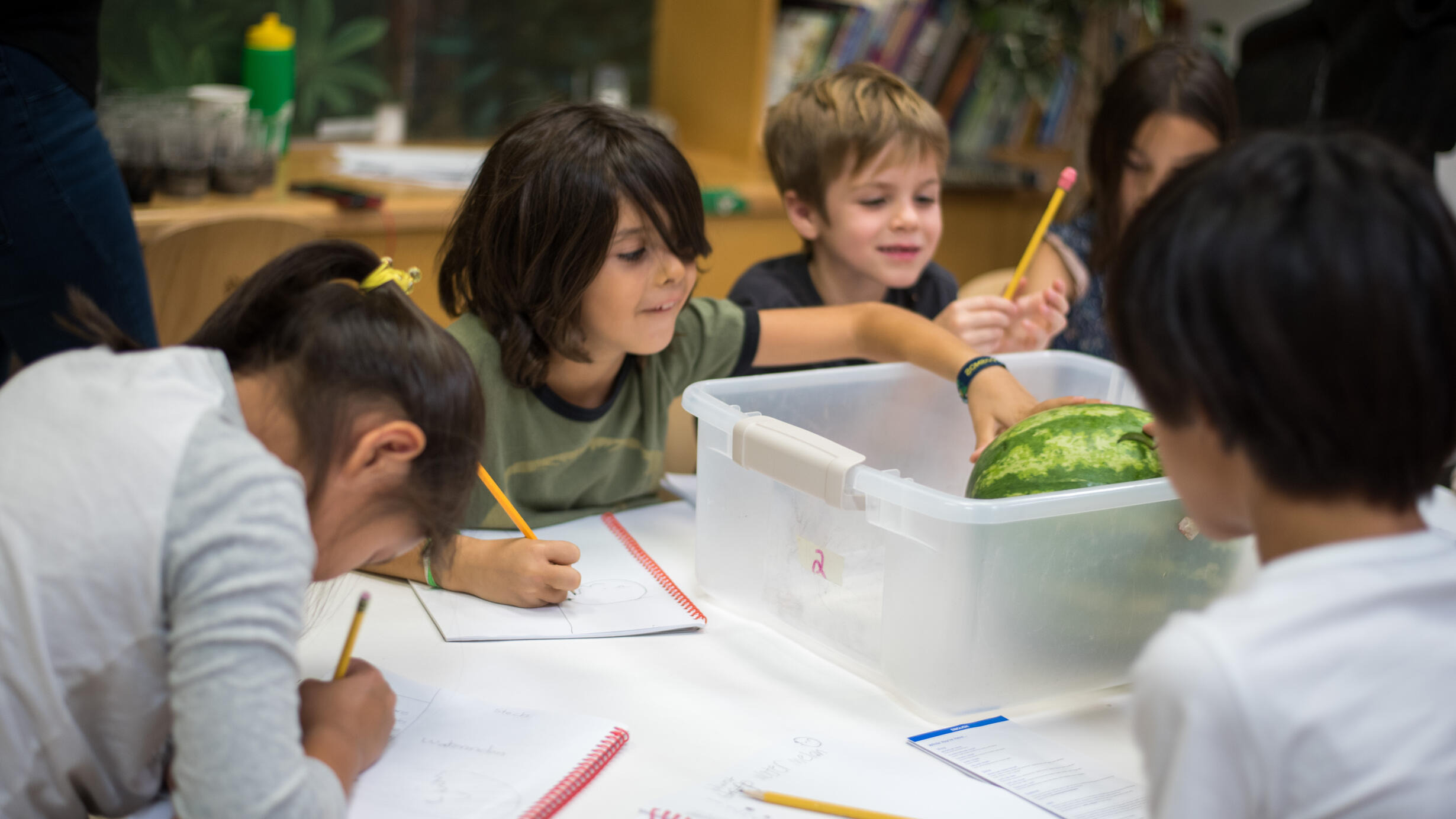A group of students examines a watermelon and records their observations in a notebook.