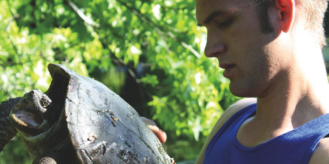 YNA Image 2 Snapping turtle