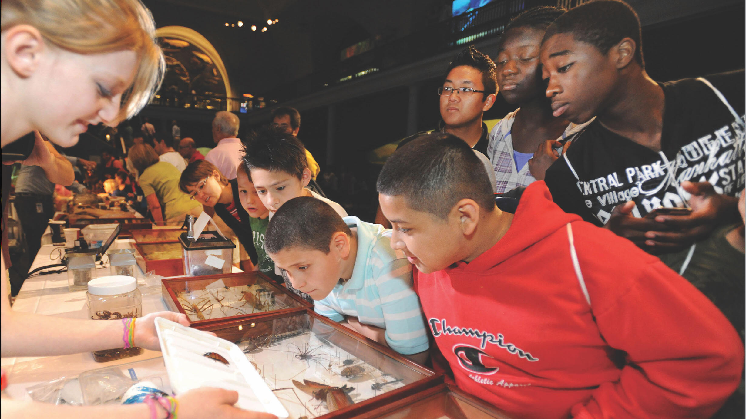 A group of children lean over a table covered with glass cases of insect specimens to observe an insect on a tray held out by a Museum scientist.