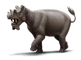 An extinct hoofed mammal the size of a rhinoceros, with dagger-like teeth and three sets of bony growths on its head.