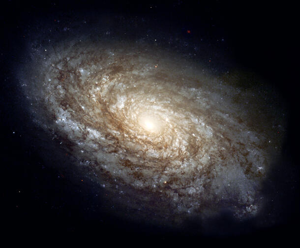 A spiral galaxy.