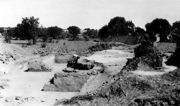 An excavation site with mounds of soil removed to reveal several sections of low walls. In the background are scrubby trees. The photo caption states: "North House rooms."