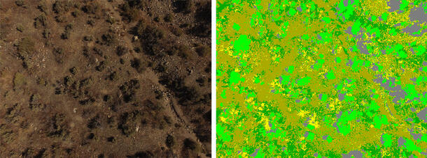 Neural network image classifier in use, patch of land (left) and the derived image pixel data (right).