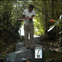 Chanda Bennett in the field
