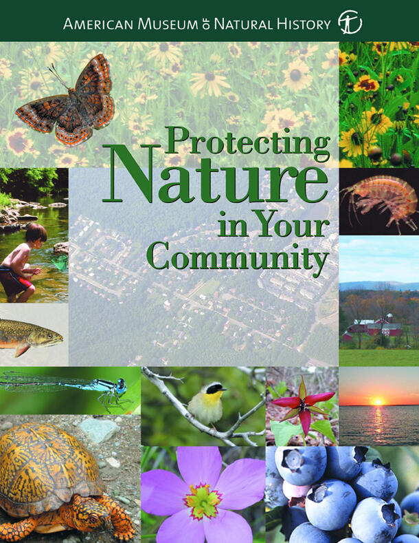 Protecting Nature In Your Community