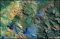 Flamingo satellite image