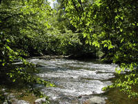 Ken Lockwood Gorge Wildlife Management Area