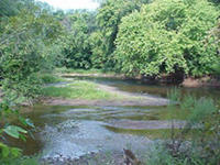 Lamington River, Branchburg