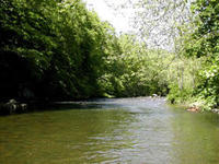 S. branch of the Raritan River, Lebanon Township, Hunterdon Co., NJ