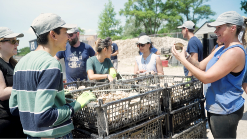 Volunteers help sort oyster shells for use in reef restoration activities in New York.