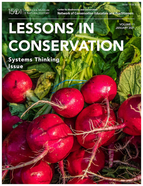 Close-up of red radishes with green leaves as the cover shot for the journal