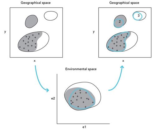 Diagram illustrating how a hypothetical species’ distribution model may be fitted to observed species occurrence records