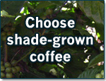 Choose-shade-grown-coffee