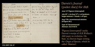 Two manuscript pages from Charles Darwin's 1858 handwritten journal.