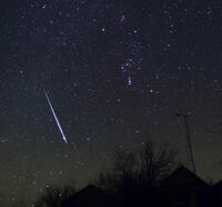 Geminid Meteor Near Orion