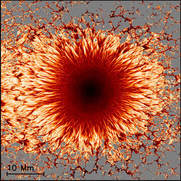 Sunspot Simulation