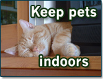 Keep-pets-indoors