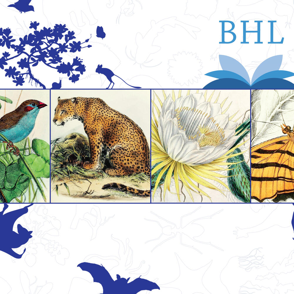Logo for the Biodiversity Heritage Library with text BHL, illustrations of a bird, leopard, flower, and butterfly and silhouettes of flowers and bats.