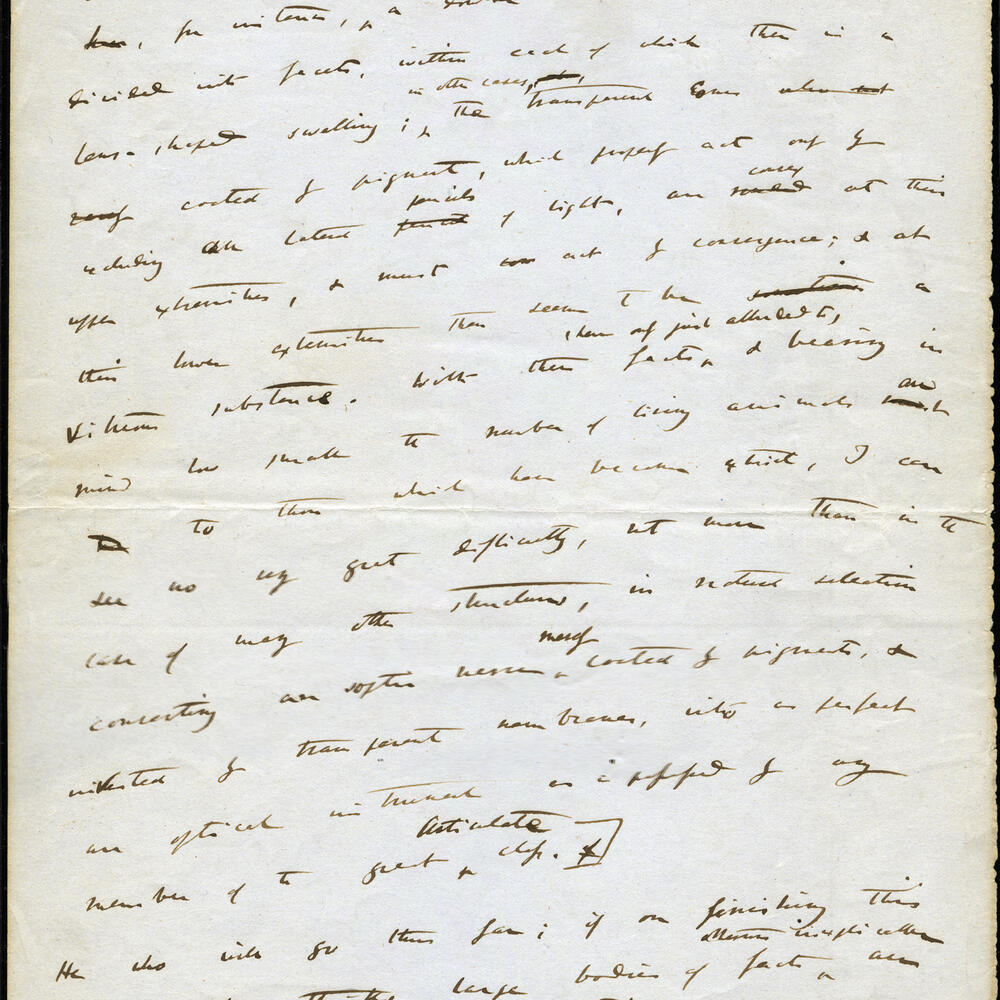 Handwritten page from Charles Darwins' draft of The Origin of Species.