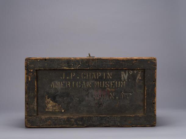 The back of a crate used during the American Museum Congo Expedition (1909-1915).
