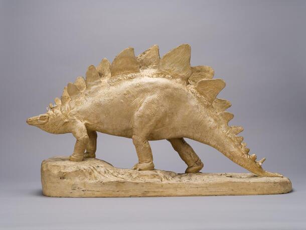 Stegosaurus model, Charles R. Knight, 1905