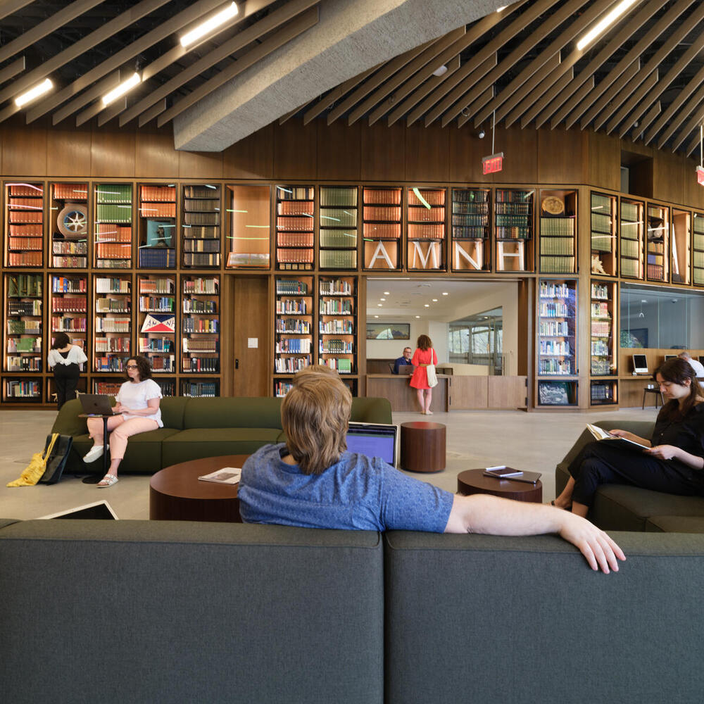 Visitors in the reading room facing the great range, David S. and Ruth L. Gottesman Research Library and Learning Center.