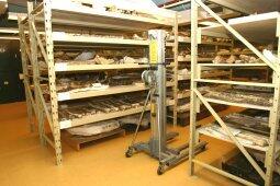 In a Museum storage room large flat metal racks with wide stacked shelves holding fossil camel bones.