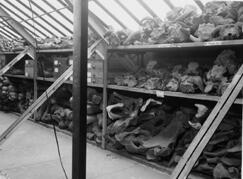 Old photo of early storage of fossil mammal bone collection