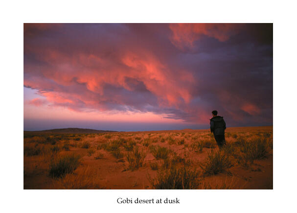 Gobi Desert at Dusk