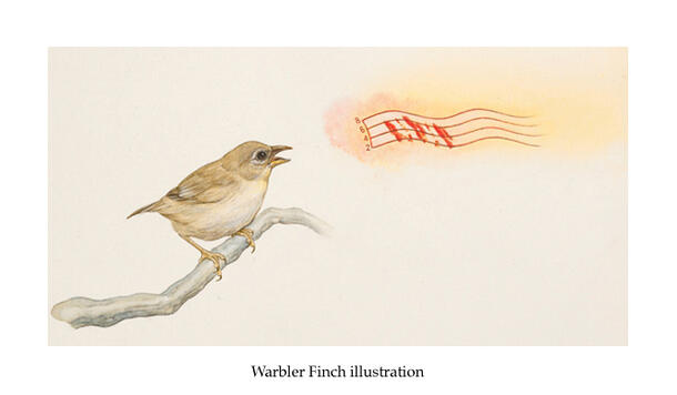 Illustration by Museum artist Mick Ellison of a Warbler Finch on a branch beneath a musical score