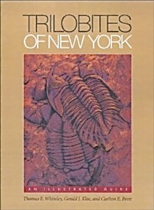 trilobites of new york book