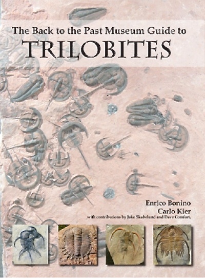trilobites the back to the past book