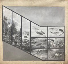 An angled canvas of illustrations that contains 9 panels that contain images of flora and fauna from land and sea.