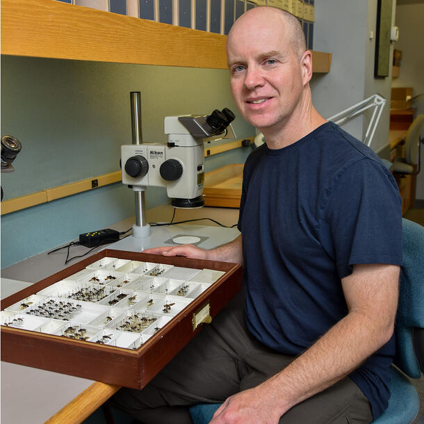 Hollister Wade Herhold sits at a lab table with a microscope and a box containing insect specimens.